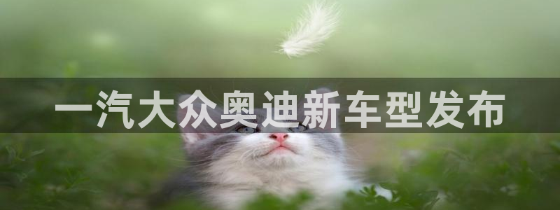 太阳集团下载链接