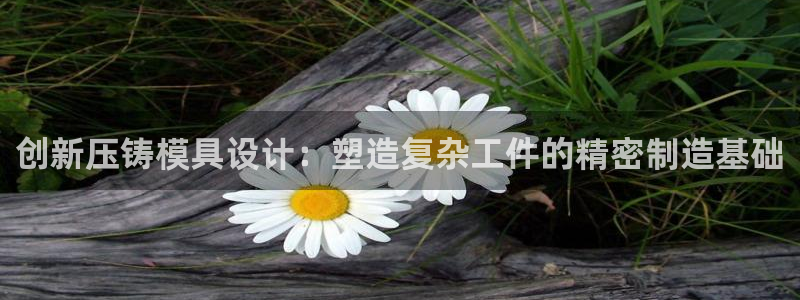 太阳集团电视剧：创新压铸模具设计：塑造复杂工件的精密制造基础