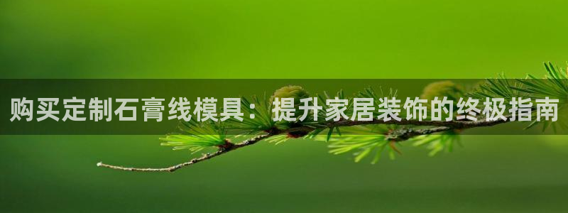 太阳gg注册登录：购买定制石膏线模具：提升家居装饰的终极指南