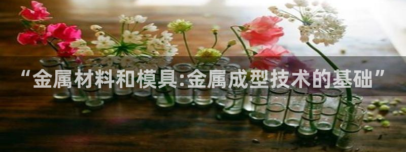 太阳app官网下载入口：“金属材料和模具:金属成型技术的基础”