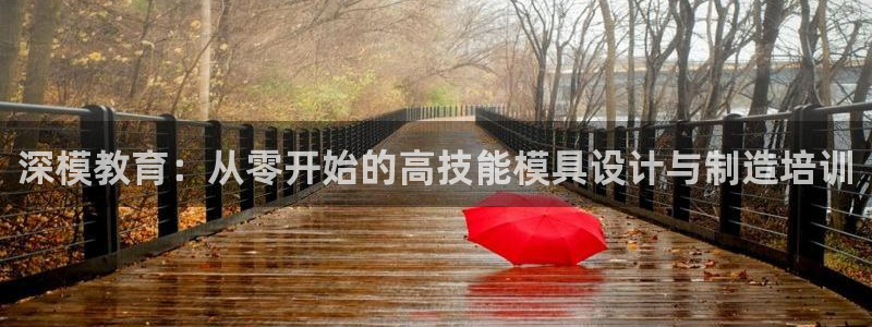 高淳红太阳集团：深模教育：从零开始的高技能模具设计与制造培训