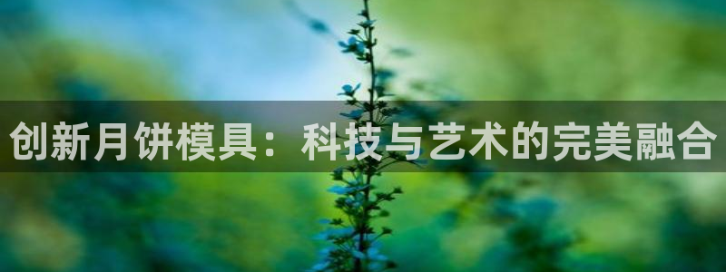 太阳集团城娱6543官网：创新月饼模具：科技与艺术的完美融合