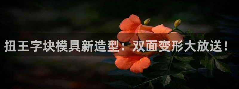 太阳 官网：扭王字块模具新造型：双面变形大放送！