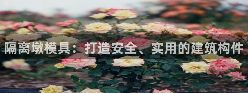 太阳成集团不能提现：隔离墩模具：打造安全、实用的建筑构件
