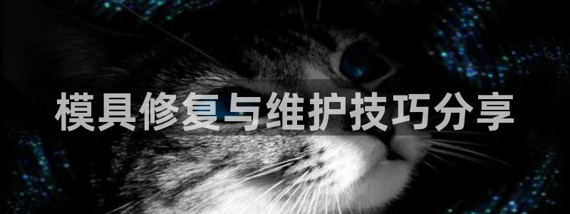 太阳集团2018登录网址：模具修复与维护技巧分享