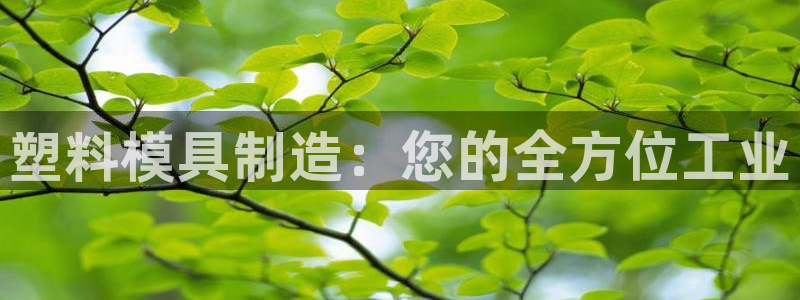 15vip太阳成集团：塑料模具制造：您的全方位工业