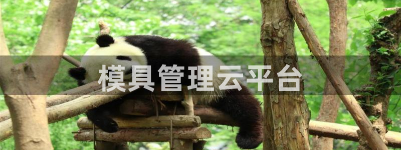 太阳app官网：模具管理云平台