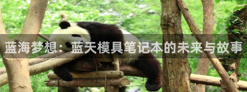 太阳成集团电影：蓝海梦想：蓝天模具笔记本的未来与故事