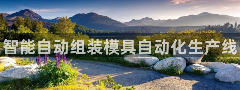 太阳诚集团在线：智能自动组装模具自动化生产线