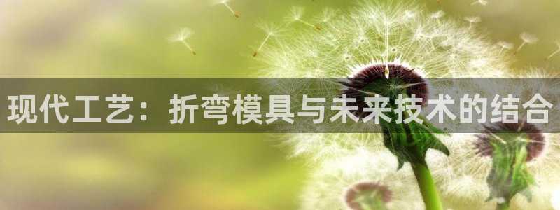 122cc太阳集成游戏官方网站版：现代工艺：折弯模具与未来技术的结合