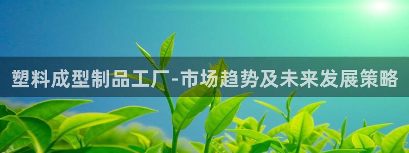 太阳2游戏娱乐官网：塑料成型制品工厂-市场趋势及未来发展策略
