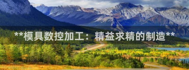 15vip太阳集团：**模具数控加工：精益求精的制造**