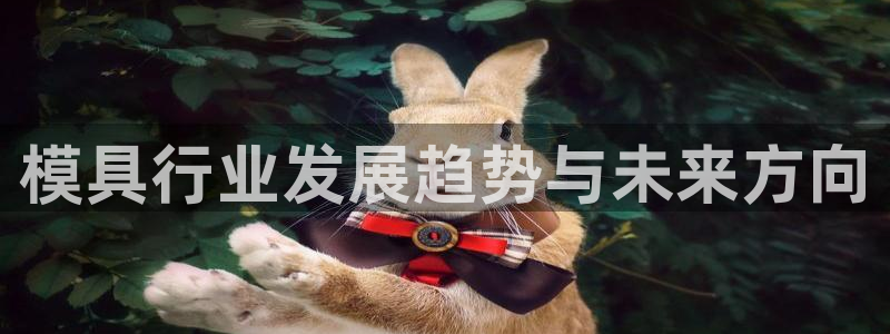 太阳集团网站5017：模具行业发展趋势与未来方向