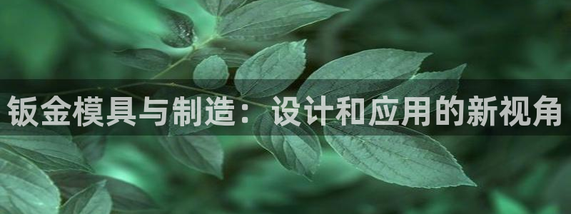 太阳成集团游戏合集：钣金模具与制造：设计和应用的新视角