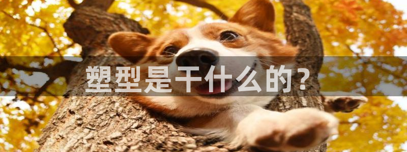 太阳控股集团：塑型是干什么的？