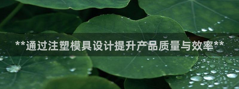 太阳集团网站游戏：**通过注塑模具设计提升产品质量与效率**