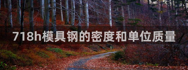 太阳集团网址8722：718h模具钢的密度和单位质量