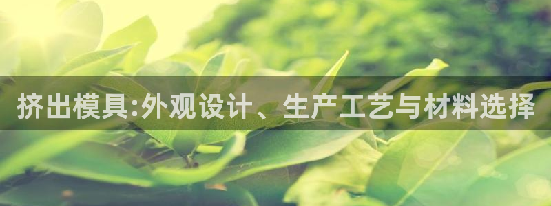 太阳成集团客服：挤出模具:外观设计、生产工艺与材料选择