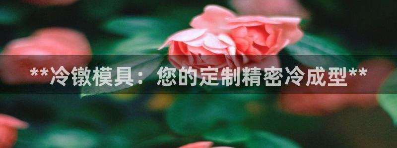 太阳集团电子游戏老板：**冷镦模具：您的定制精密冷成型**