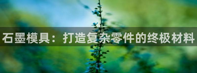 太阳成集团APP：石墨模具：打造复杂零件的终极材料