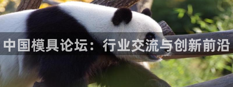太阳1城集团网址是多少：中国模具论坛：行业交流与创新前沿