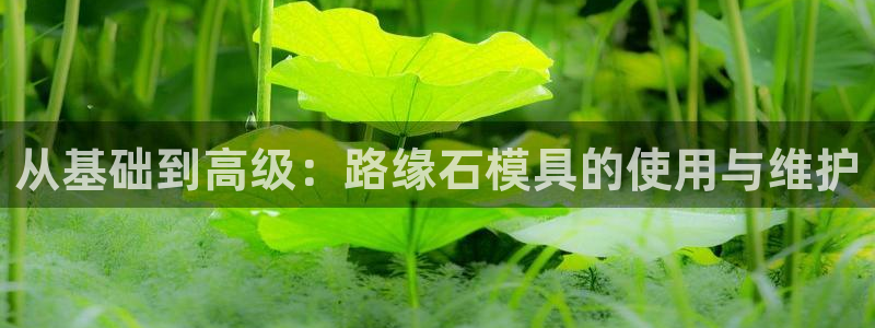 太阳1城集团网址：从基础到高级：路缘石模具的使用与维护