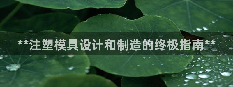 太阳集团城2017：**注塑模具设计和制造的终极指南**