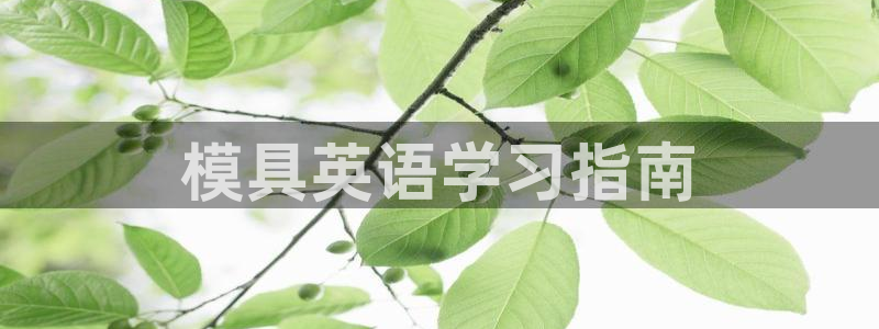 太阳gg娱选_2o5o26：模具英语学习指南