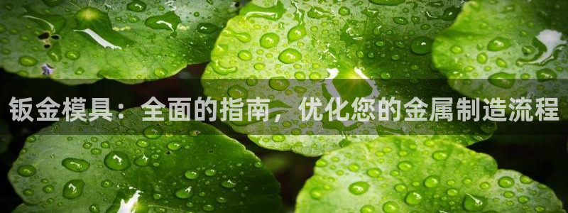 太阳集团游戏城(138)官方网址：钣金模具：全面的指南，优化您的金属制造流程