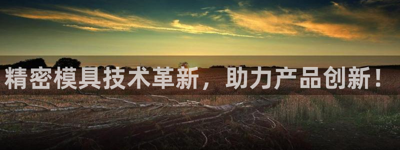 太阳app下载网址进入：精密模具技术革新，助力产品创新！