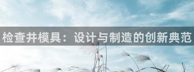 太阳集团188网站：检查井模具：设计与制造的创新典范