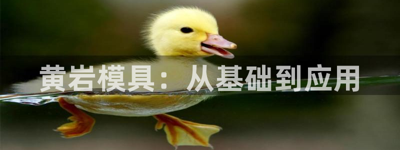太阳集团城网站2007：黄岩模具：从基础到应用