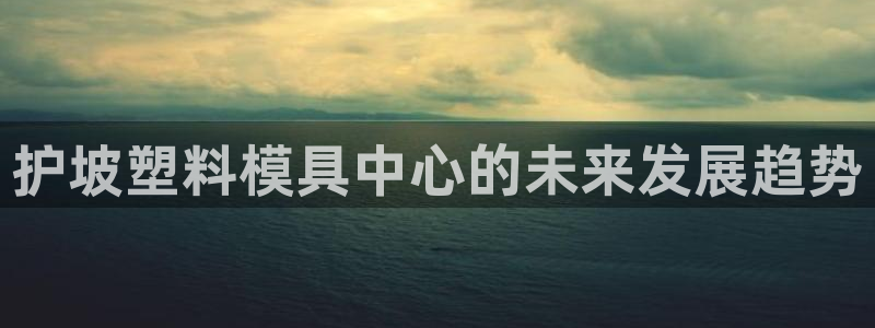 太阳集团股份有限公司招聘：护坡塑料模具中心的未来发展趋势