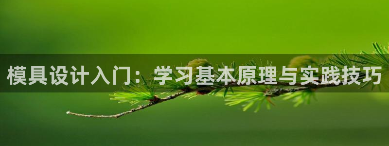 太阳集团唯一值得信赖网站是什么：模具设计入门：学习基本原理与实践技巧