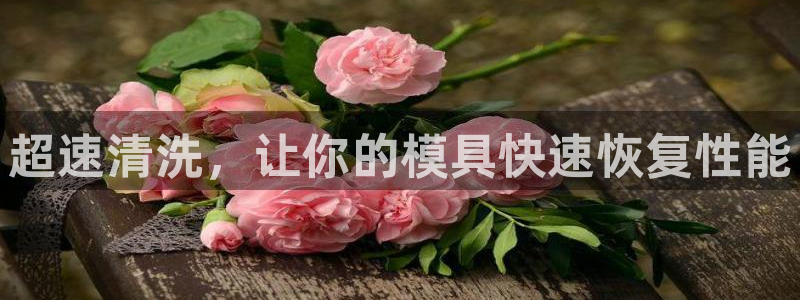 太阳2官方下载：超速清洗，让你的模具快速恢复性能