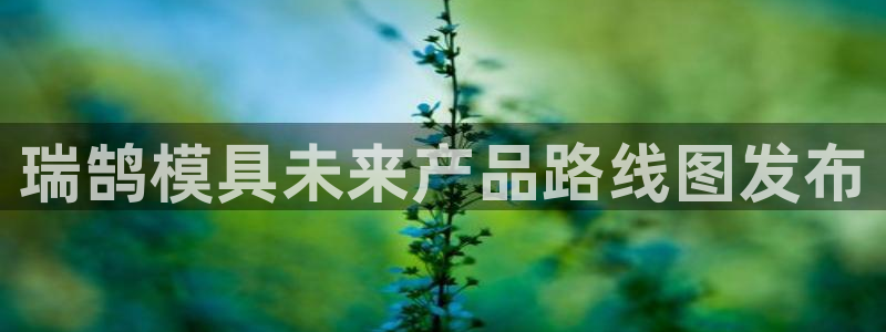 太阳董事长：瑞鹄模具未来产品路线图发布