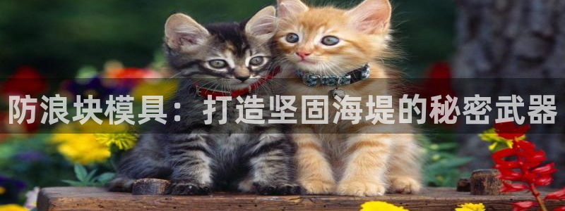 太阳诚集团在线：防浪块模具：打造坚固海堤的秘密武器