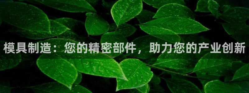 太阳集团贵宾网站：模具制造：您的精密部件，助力您的产业创新
