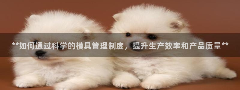 太阳集团网站游戏：**如何通过科学的模具管理制度，提升生产效率和产品质量**