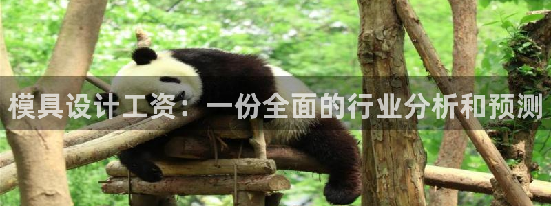 太阳1城集团网址查询：模具设计工资：一份全面的行业分析和预测