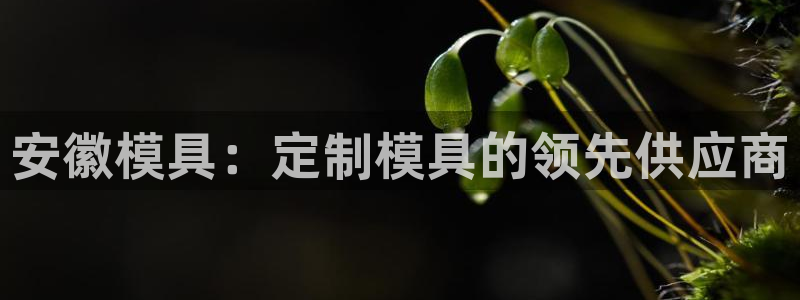 太阳诚集团视频：安徽模具：定制模具的领先供应商