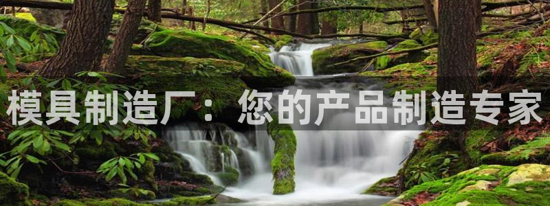 太阳诚集团有限公司是国企吗还是央企：模具制造厂：您的产品制造专家