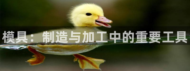 太阳1城集团网址查询：模具：制造与加工中的重要工具