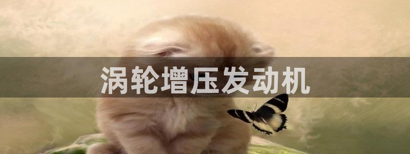 2018太阳集团游戏网站：涡轮增压发动机