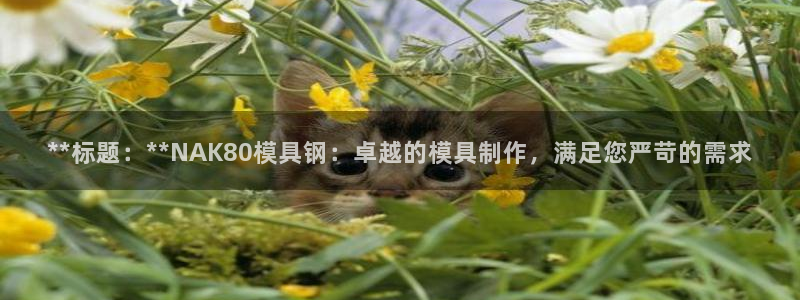 太阳集团在线：**标题：**NAK80模具钢：卓越的模具制作，满足您严苛的需求