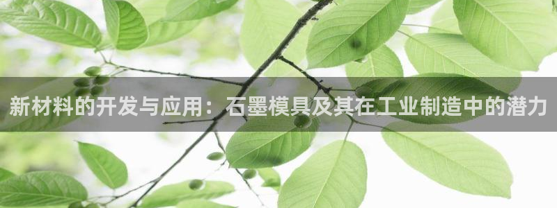 太阳2平台下载：新材料的开发与应用：石墨模具及其在工业制造中的潜力