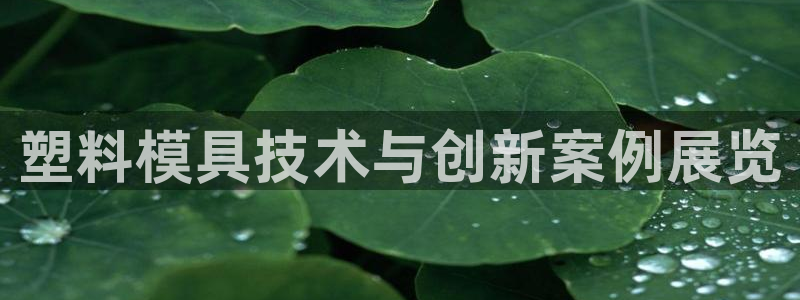 太阳集团官网8722：塑料模具技术与创新案例展览