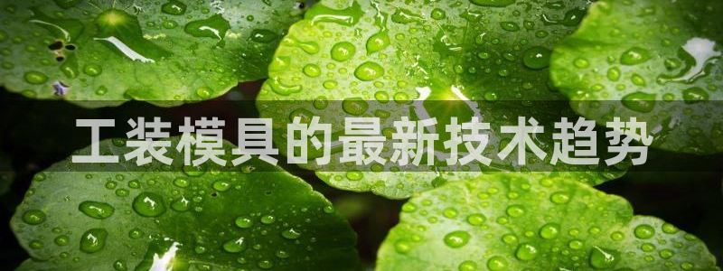 太阳成集团tyc234cc官网：工装模具的最新技术趋势