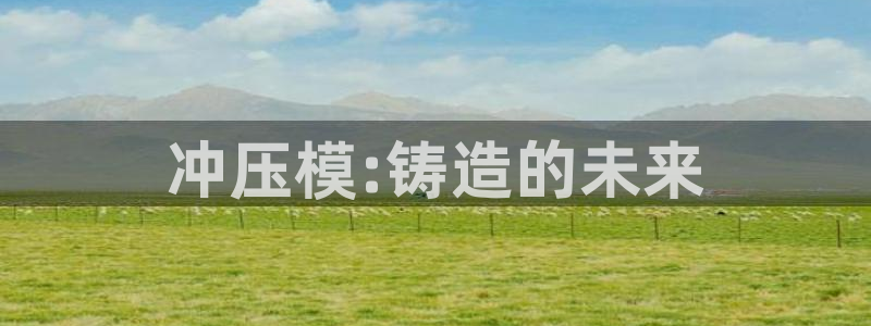 太阳成集团tyc122cc：冲压模:铸造的未来