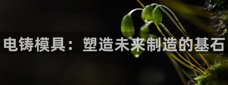 太阳集团董事长是谁照片：电铸模具：塑造未来制造的基石